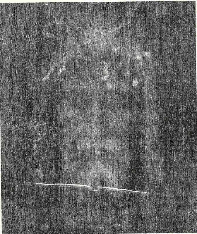 View shroud2.jpg () shroud2.jpg ()